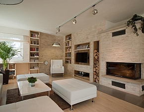 Stone in Living Room