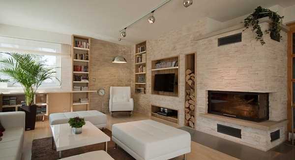 Stone in Living Room